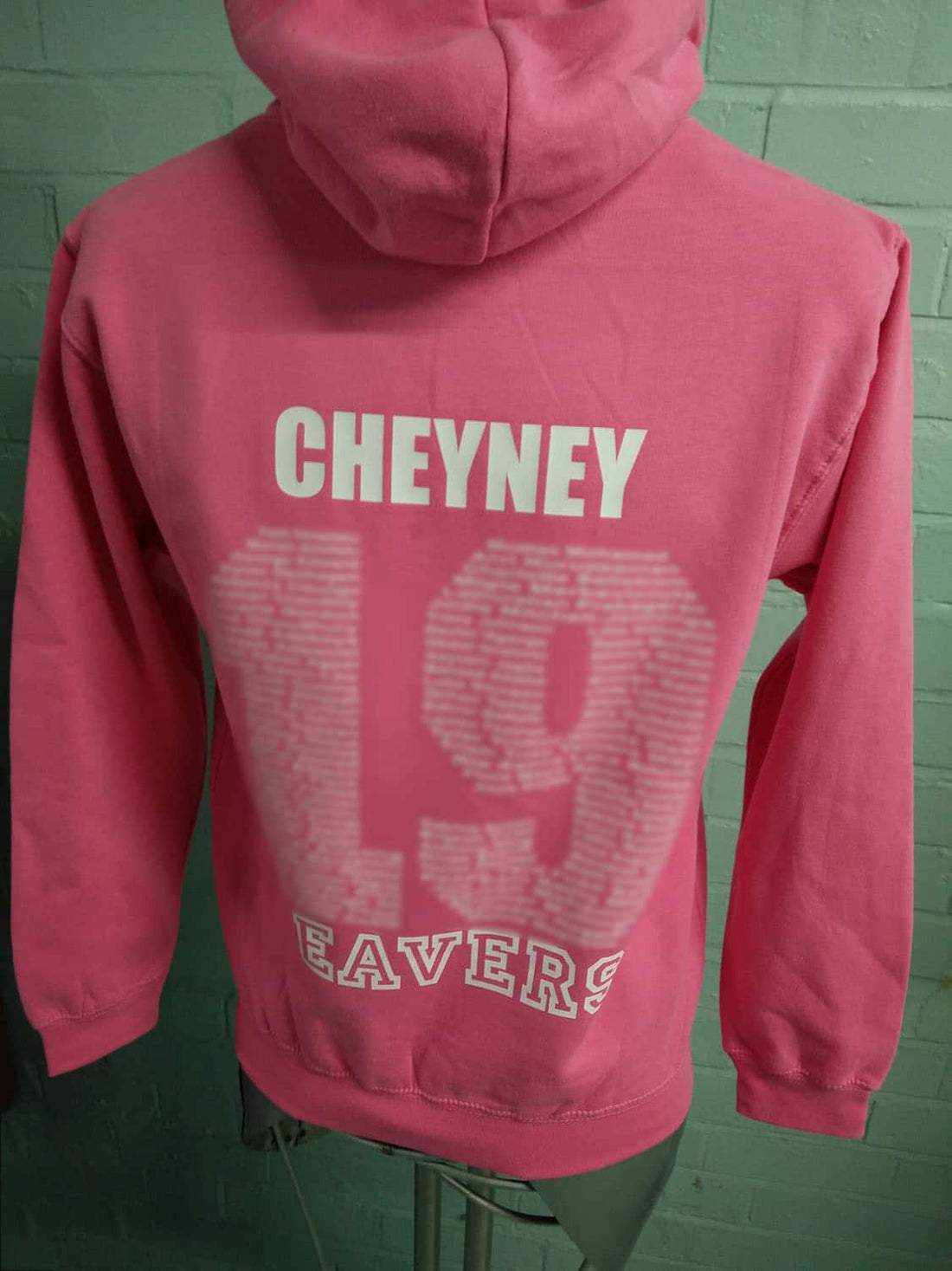 CGL Pink Leavers Hoodies Class of 2019 Custom 2