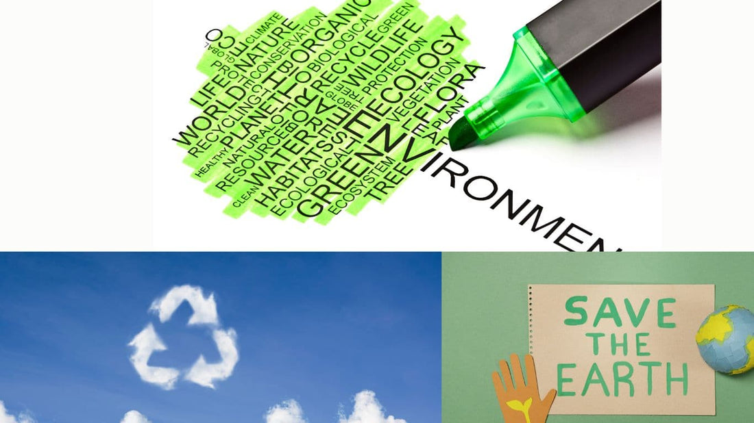 Environmentally Friendly Hoodies(1)