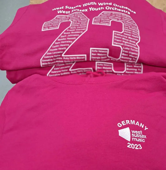 Branded university hoodie featuring a personalised back print, highlighting the best deals for bulk university stash for student societies and university groups.