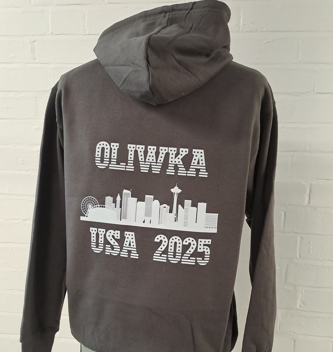 Custom trip hoodie - USA 2025