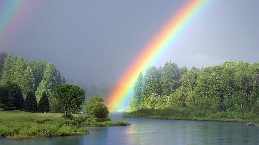 green-rainbow