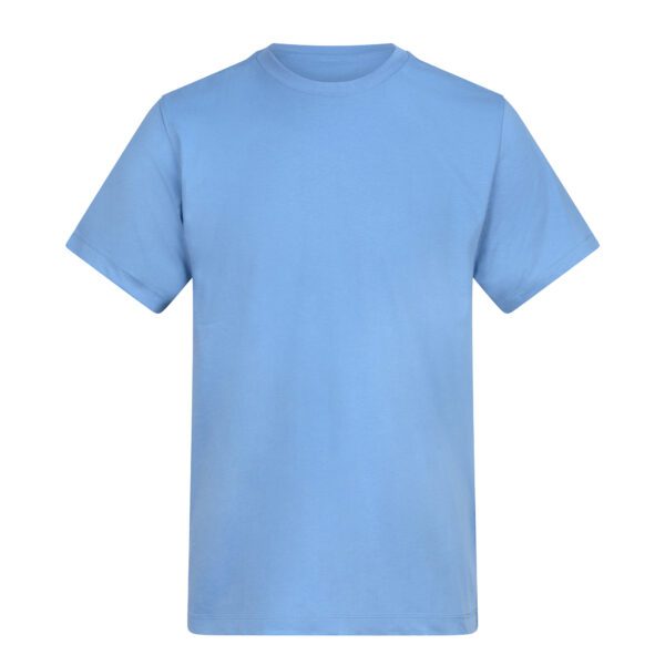 Cornflower Blue